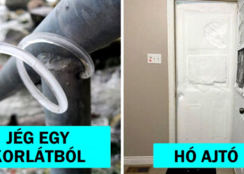 16 személy, aki megosztja az alacsony hőmérséklet és a nagy havazás őrült következményeit