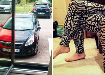 15 fotó, ami egy szerencsés véletlen tökéletes eredménye lett