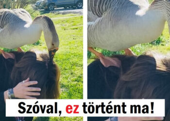 15 alkalom, mikor az univerzum úgy döntött, hogy egy kis show-val sújtja az embereket