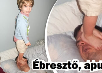 20+ helyzet, mely egy másik szintre emeli a türelmedet