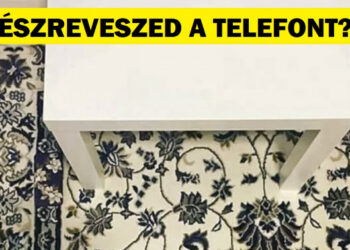 17 kép, mely bemutatja, hogy néha a dolgok varázslatosan beleolvadnak a környezetükbe