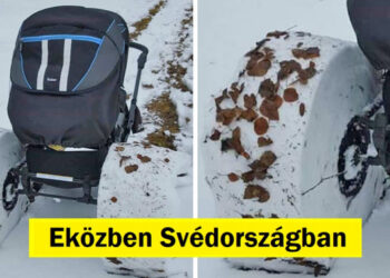 17 ember, aki olyan helyzetbe került, ami bárkit totálisan kihozna a sodrából