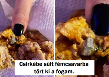 16 szerencsétlen alak, akik jobban jártak volna, ha fel sem kelnek a mai napon