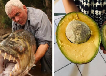 16 lélegzetelállító fénykép, amely bebizonyítja, hogy tényleg számít a méret