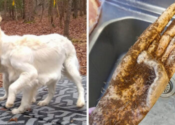 16 alkalom, mikor a képzeletünk felrázott bennünket egy kicsit