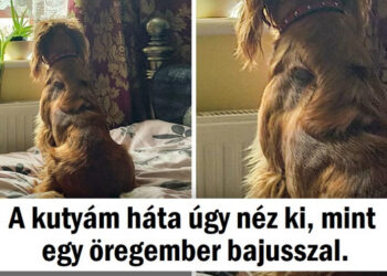 15 kép, ami bemutatja, hogy a világ tele van elképesztő dolgokkal, csak közelebbről kell néznünk