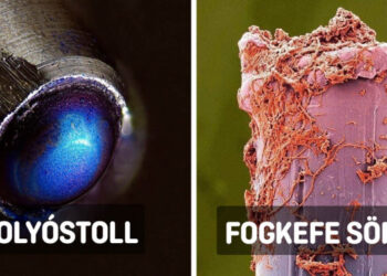 15 lélegzetelállító felvétel, mely bemutatja, hogy milyen szokatlanul néznek ki a különféle tárgyak mikroszkóp alatt