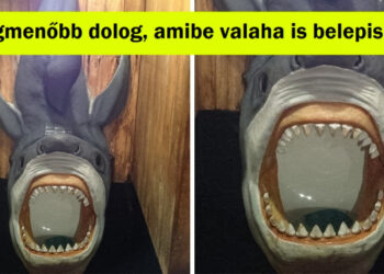 15 alkalom, mikor az emberek furcsa dolgokat találtak, és mi nem tudtunk mást tenni, mint elborzadni