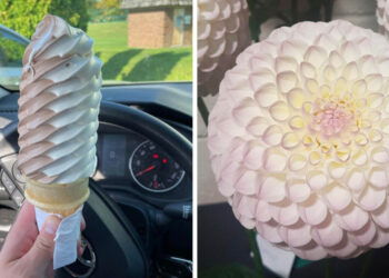 16 megnyugtató fotó, mely a nyugalom hullámait hozza az agyadba