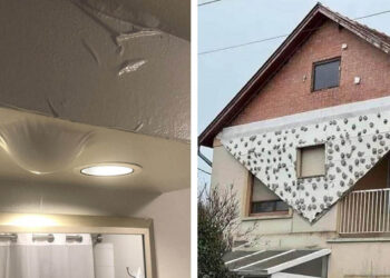 17 eset, amikor a kudarc a legváratlanabb pillanatban és módon érte az embereket