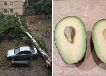 21 személy, akire a lehető legjobb pillanatban mosolygott rá a szerencse