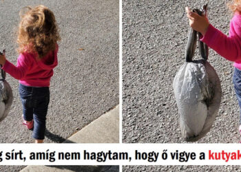 15 szituáció, ami teljes mértékben leírja a “dráma” szó jelentését