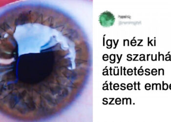 21 felvétel olyan dolgokról és jelenségekről, melyeket sosem láthattunk volna élőben