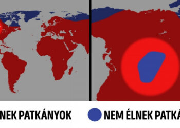 17 térkép, ami totálisan új oldalról mutatja be a világ dolgait