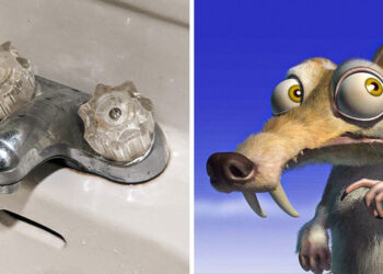 15 kép, amitől kétszer is megdörzsölöd a szemed