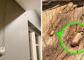 20 alkalom, mikor az emberek valami abszolút furcsa dologra lettek figyelmesek