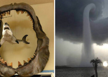 20 lélegzetelállító kép, szokatlan dolgokról