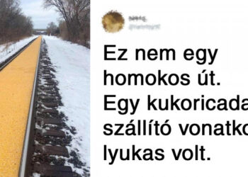 20+ kép azok számára, akiknek sürgősen szükségük van valami nyugtató és pihentető dologra