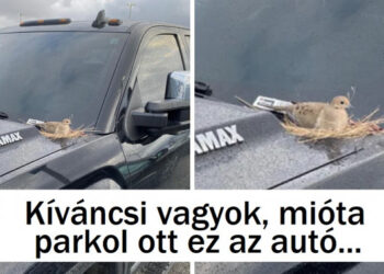 16 személy, akiknek egyszerűen meg kellett osztaniuk a különleges látványt, amit véletlenül láttak