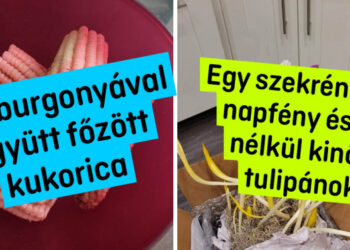 18 fénykép, mely egy pillanat alatt választ ad a kérdésre: “mi lesz, ha…?”