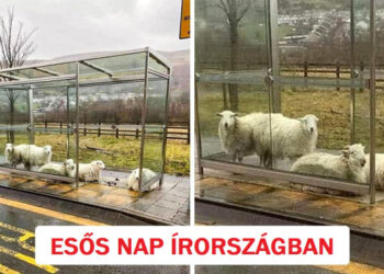 15 fénykép, amik úgy tűnnek, mintha egy másik univerzumban készültek volna