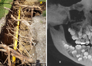 21 személy, aki olyan dolgot látott, amelyet csak millióból egy embernek van szerencséje személyesen