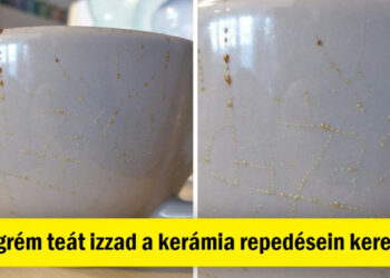 16 rendkívül csodálatos dolog, amit az embereknek volt esélyük látni