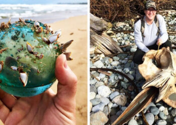 20 lebilincselő felfedezés, amelyre a tengerparton sétálva bukkantak az emberek