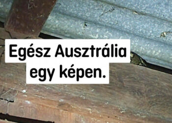 20 fénykép, amely bizonyítja, hogy az ausztrál embereknek minden nap egy kaland