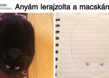 17 fénykép, amely bebizonyítja, hogy az édesanyák humorához semmi sem fogható