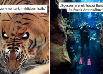 45 elképesztő fotó, ami mély gondolatokat ébreszt benned