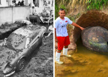 10 szerencsés ember, aki olyan dolgot talált a kertjében, melytől az egész élete megváltozott