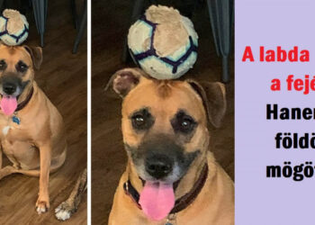 15 valódi optikai csalódás, amelyeket egy fényképen örökítettek meg