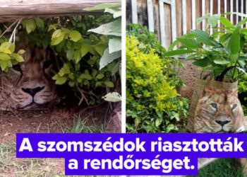 16 mókamester, akinél egy nap sem telik el anélkül, hogy viccet csinálna valakiből