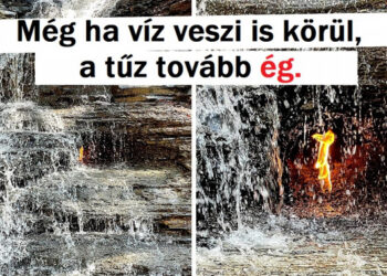 17 dolog, amiről nem fogod elhinni, hogy az anyatermészet alkotta