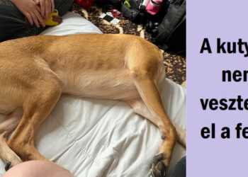 15 alkalom, amikor a valóság átvert bennünket, hogy összezavarjon, és működött