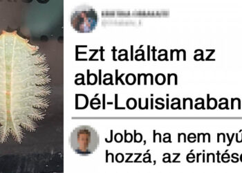 16 megmagyarázhatatlannak tűnő fénykép, amiről kiderült, hogy nincs is rajta semmi természetfeletti