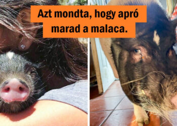 12 személy, akik egy epikus kudarcot epikus mosollyal kezeltek