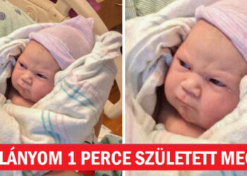 14 személy, akiknek családi albumai felbecsülhetetlen kincseket őriznek