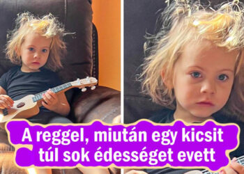 15+ alkalom, mikor az emberek épp időben voltak egy jó fénykép elkészítéséhez