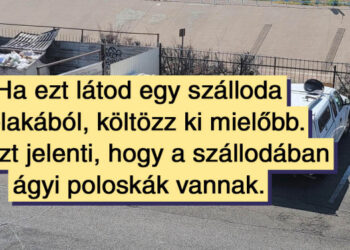 15+ személy, aki szállodába ment, és olyan meglepetéssel találkozott, amelyre nem volt felkészülve