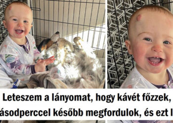 16 személy, akik találtak valamit, mely mosolyt csalt az arcukra