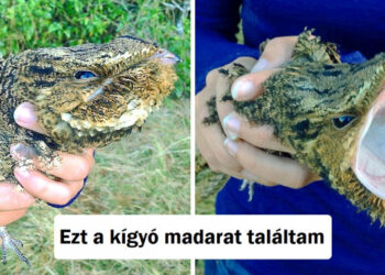 15 alkalom, mikor az univerzum unatkozott és úgy döntött, hogy igazi műsort rendez