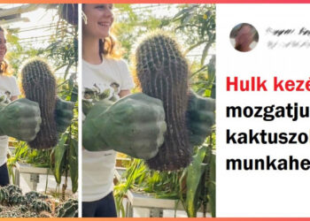 15 igazi világbeli MacGyver, akiknek a trükkjei megkönnyítik az életet