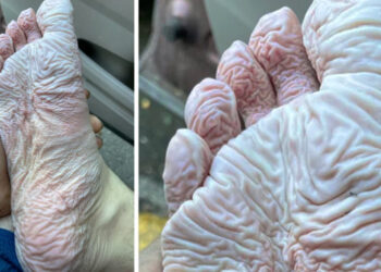 16 személy, akik meggyőztek bennünket arról, hogy az ember a legegyedibb teremtmény az univerzumban