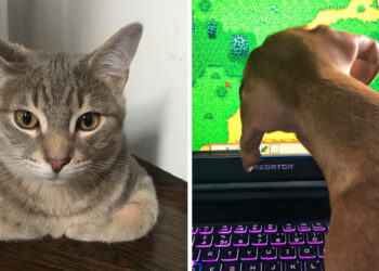 15+ pillanat, mikor az univerzum valódi optikai illúziókkal ajándékozott meg bennünket