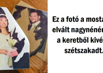 15 fotó, mely bemutatja, hogy a véletlen bárkivel bármikor megtörténhet