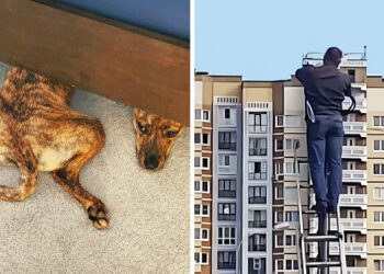 15 zavaros fotó, melyek túlpörgetik a fantáziánkat