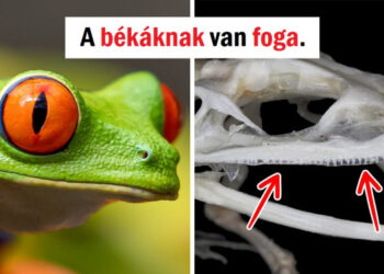 10 tény, mely miatt kételkedünk abban, hogy mennyire jól ismerjük a világot