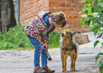 A szegény, sátorban élő kislány befogad egy beteg kóbor kutyát, mely egy nap elvezeti őt új nagy házba